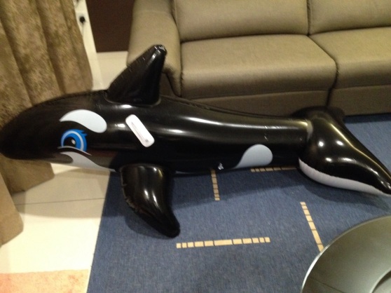 Bought an inflatable Willie whale for her party
